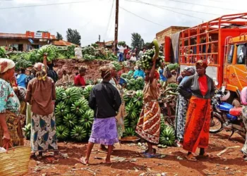 Tanzania’s Foreign Business Ban Sparks Kenyan Outrage