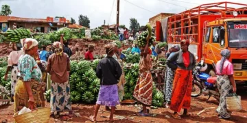 Tanzania’s Foreign Business Ban Sparks Kenyan Outrage