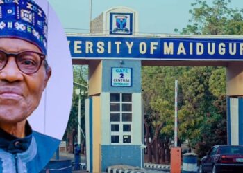 Tinubu Renames UNIMAID as Muhammadu Buhari University