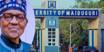 Tinubu Renames UNIMAID as Muhammadu Buhari University