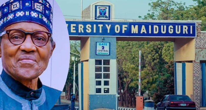 Tinubu Renames UNIMAID as Muhammadu Buhari University