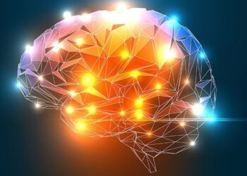 The Ultimate Guide to Brain Health: Science-Backed Tips to Boost Memory, Focus, and Cognitive Longevity