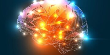 The Ultimate Guide to Brain Health: Science-Backed Tips to Boost Memory, Focus, and Cognitive Longevity